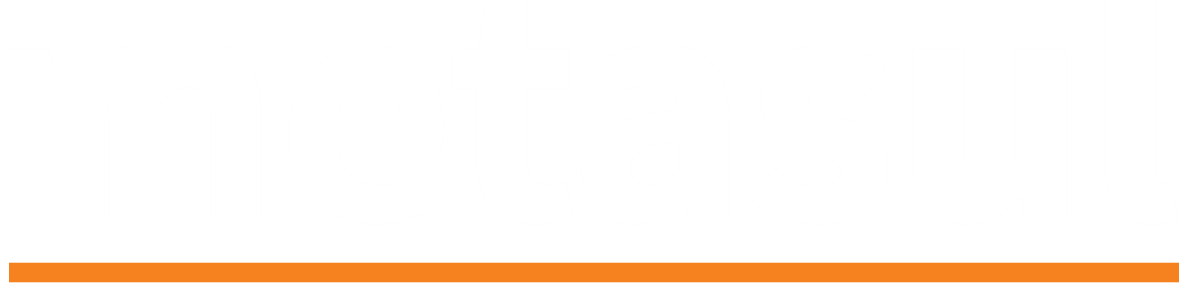 Logo Metasul